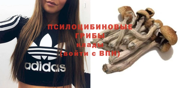 прущая мука Алексеевка