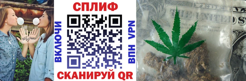 МАРИХУАНА ГИДРОПОН  как найти   Цимлянск 
